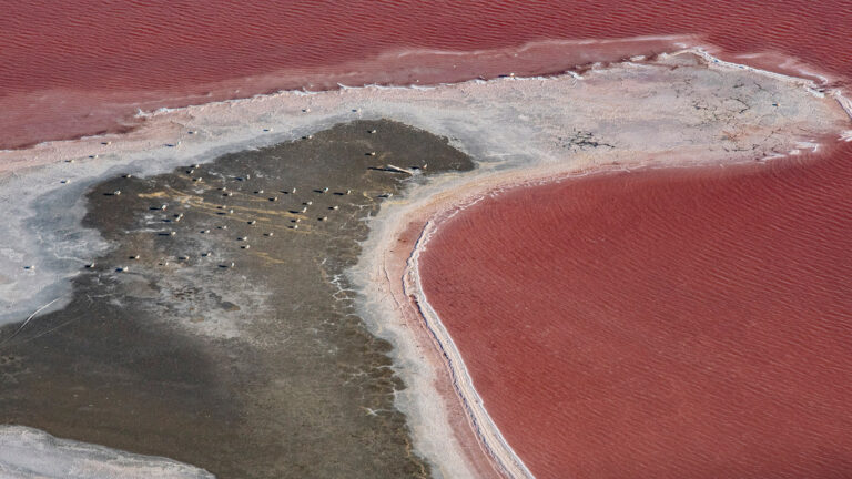 Eric_Causse_Survol_6